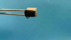 <b>空气中挤水！中澳科学家发现智能海绵</b>